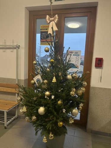 Karácsonyfa1.jpg